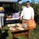 Tangerine and olive picking in the Makarska Riviera